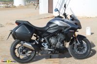 TigerSport800_57