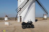 TigerSport800_61