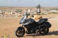 TigerSport800_73