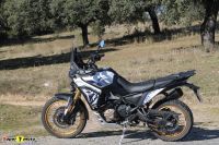 Voge_DS800xRally_33