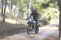 Voge_DS800xRally_43