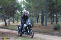 Voge_DS800xRally_47
