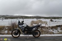 Voge_DS800xRally_58