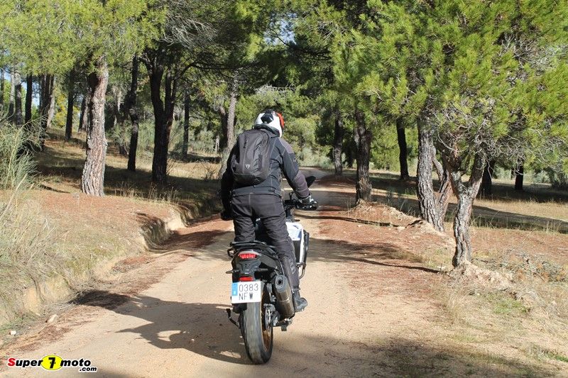 Voge DS800xRally 41