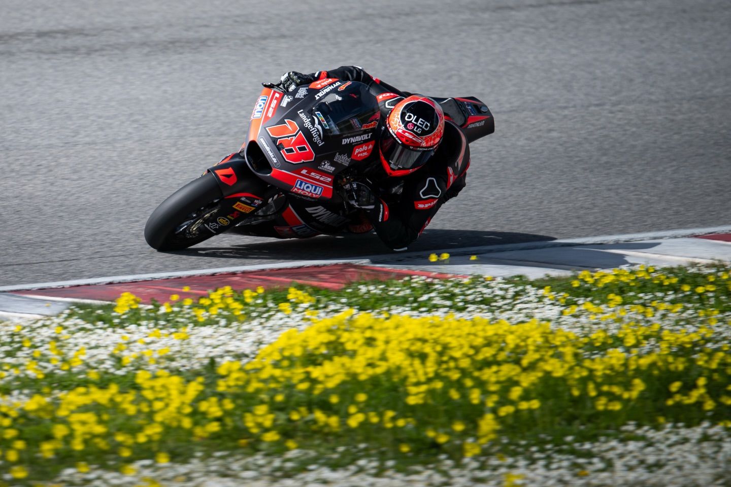 632163217 18449727187096887 3100459091862780800 n