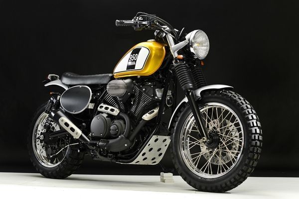 XV950DocsChops01