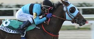 caballoingles.-300x125