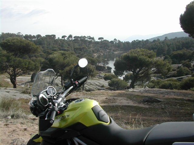 CebrerosNavalperal02