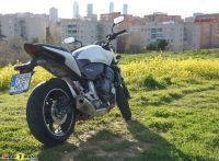 hornet03
