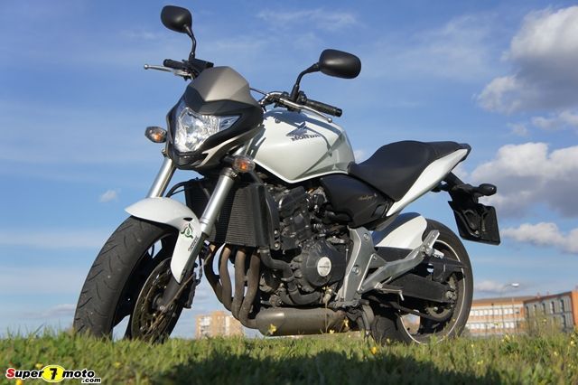 hornet04