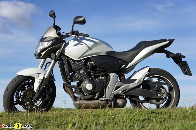 hornet05