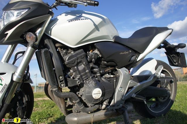 hornet09