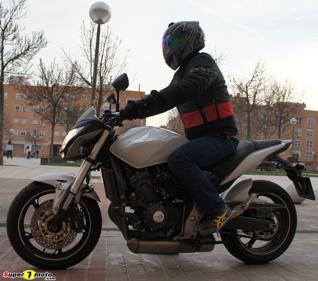hornet33