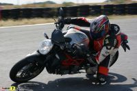 Brutale_1090_18