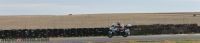 triumph_trophy088