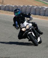 pestreet2