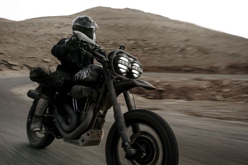 HD Desert Wolves Harley Davidson 1200 Roadster 1
