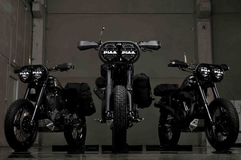 HD Desert Wolves Harley Davidson 1200 Roadster 3