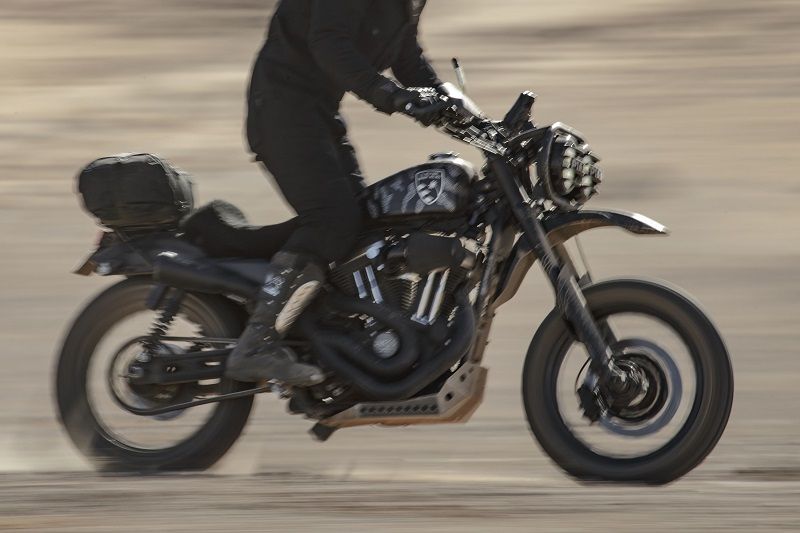 HD Desert Wolves Harley Davidson 1200 Roadster 5