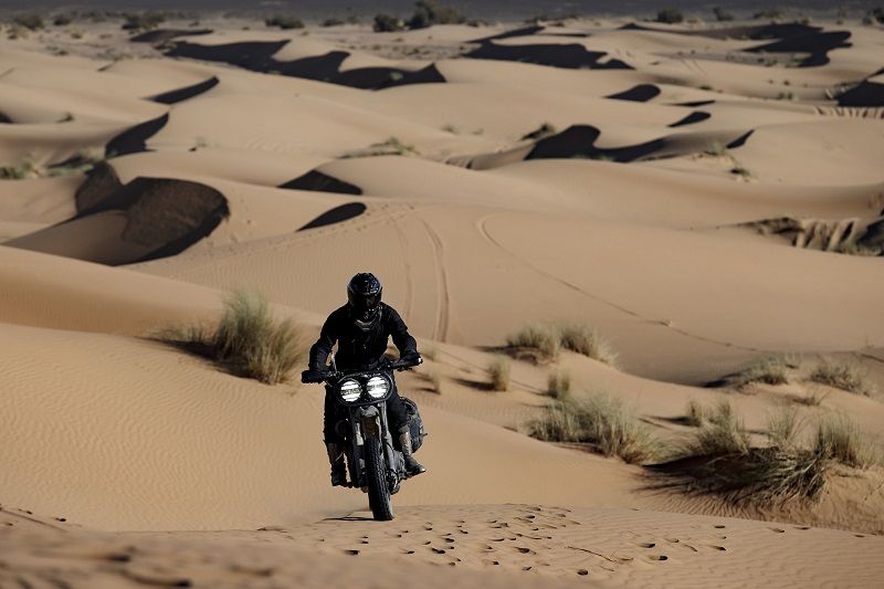 HD Desert Wolves Harley Davidson 1200 Roadster 7