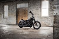streetBob1