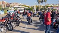 110671_Impalada_2017