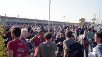 110672_Impalada_2017