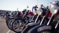 110674_Impalada_2017
