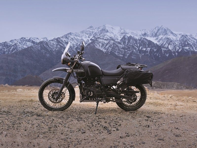 Himalayan Profile1