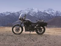 Himalayan_Profile1