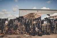 Goodwood-Website-0228