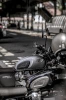 0L9A4787_GRD_RT