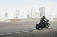 High-Res_JPG-001346_185_MIA_181024_V1.2935aa77