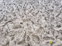 Motorbeach_2018_14