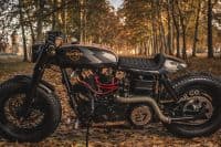 Old_Wine_25