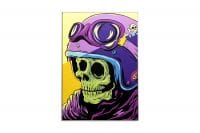 Roadkill5