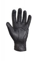 x-Raven_Mesh_Glove_Triumph_9mar17_0928