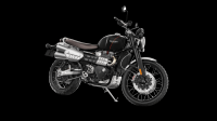 NDP_TRIUMPH_SCRAMBLER1200_00