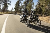 NDP_TRIUMPH_SCRAMBLER1200_28