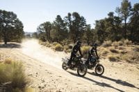 NDP_TRIUMPH_SCRAMBLER1200_29