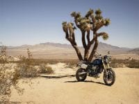 NDP_TRIUMPH_SCRAMBLER1200_38
