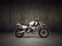 NDP_TRIUMPH_SCRAMBLER1200_64