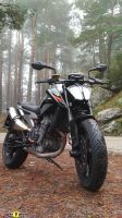 KTM790Duke_69