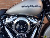 Softail_Deluxe_20180225_091126-012