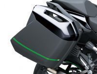 hi_2020_Ninja_1000SX_GY1_DET__9_