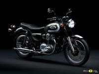 Kawasaki_W800_2020_40