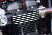 NDP_TRIUMPH_SPEEDTWIN_LLEGADA_31-01