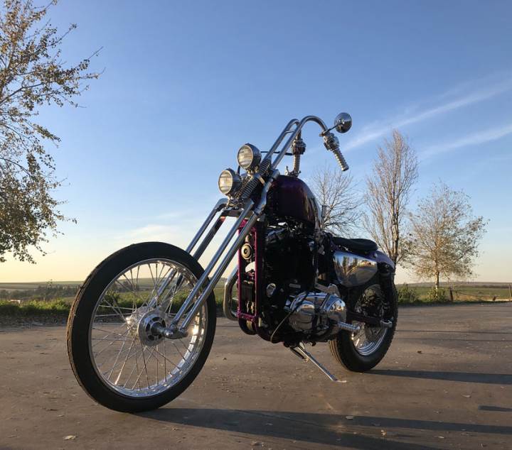 2019 7837 es ES PURPLE RABBIT 263A6F9E overlay