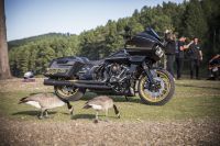 fk-luck-bagger_15