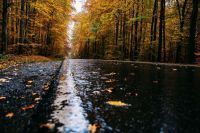 MHO_8073-Bearbeitet